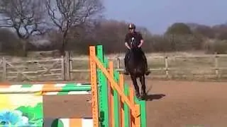 Lupicor x Orame