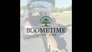 Boometime Dog Ramp