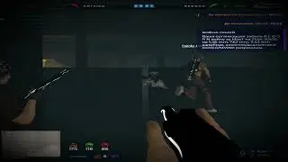 меня боится весь проект gta 5 rp?