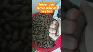 #trucos pelando pecanas muy facil#shortvideo
