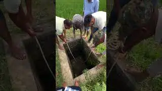 RescueHaven rescue a black buck #animalsaving #wildliferescue #wildlife #wildlifeowners