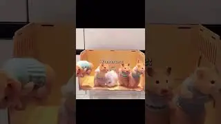 hamster core 🐹 | #animals #core #cute #funny #hamster #pov #viral
