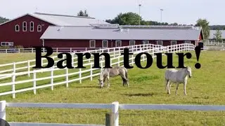 Barn tour!!🐴💙