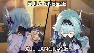 Eula Sneeze in All Language EN/JP/KR/CN
