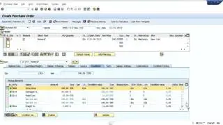 Raw Material Cost   via Conditions Discussion