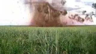 Exploding Tree 101