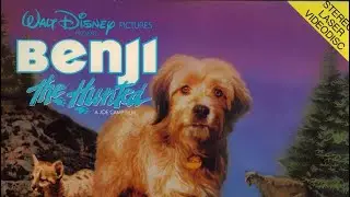 Benji the Hunted/ Character profile: Pluto @disneymovieinvestigation