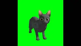 Flow Spinning Cat