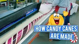 How Candy Canes Are Made! A Behind The Scenes Look At The Source | Best Products