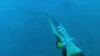 Chasse sous marine : sérioles thonine barra dorade sar Ben Spearfishing Best of #9