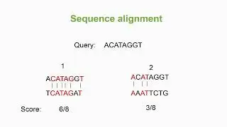 Calculate Scores of Multiple Sequence Alignment