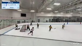 NS 10U Minor Wettin vs NAHA