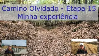 Camino Olvidado - Etapa 15 - La Magdalena a Vegarienza #senderismoeexperiencias #caminodesantiago