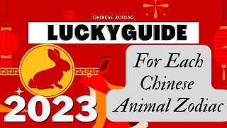 2023 year of the black water rabbit | Lucky guide for 2023  year of the rabbit | 2023 Rabbit