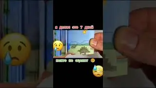 Я делал это 7 дней !