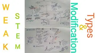 Types of Stem: Weak Stem & modifications (Part B)