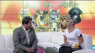 Ask Dr. Mike: Grain-Free & Low Carb Diets For Pets