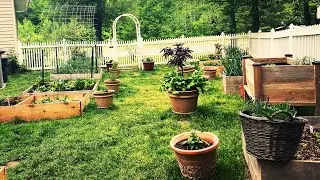 Potager/Vegetable Garden Tour May 2021 Zone 7A