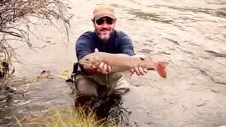 Trip to Mongolia. 2019 Autumn