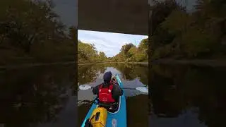 Humber River Kayak in 60 Seconds with Biscuit the Beagle! 🚀