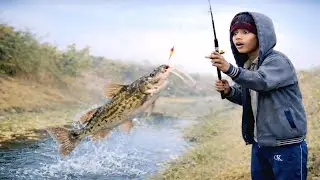 india boat fishing videos🎣🐋The boy went fishing and did the same thing🎣🐠
