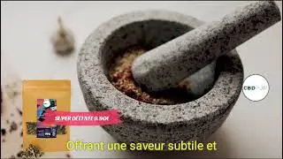 Cr&eacute;ez des Saveurs Uniques :                   Recettes de Cuisine CBD