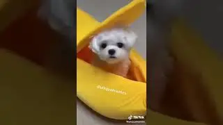 Memes compilation 9