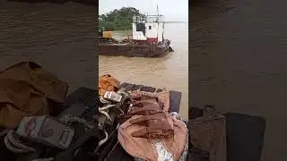 FISHING IN THE ESSEQUIBO RIVER (WAKENAAM)🇬🇾#fishing #viral #guyana #shorts #fish #travel #nature