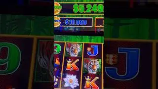 All of a sudden you guys are cops? #gambling #casino #money #comedy #slots