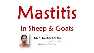 Mastitis by Dr. K.Lakshmi Kavitha  #Sheepfarming #Goatfarming #Sathyazerograzing