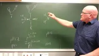 Aminosyrer