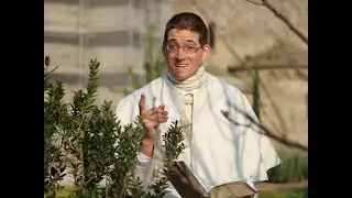 Le myrte - Une visite au jardin biblique - 2