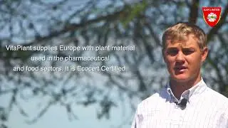 Flower DS 4EC  & Flower DUST - used by VITAPLANT KENYA