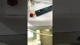 The laminar airflow //safety cabinet// Das e-biology