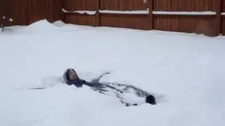 Jake making a snow angel.