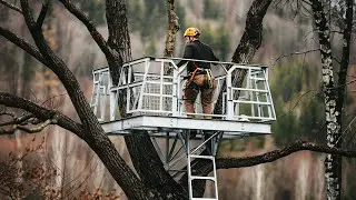 Best Climbing Tree Stand 2025: No.1 Definitely Will Shock You