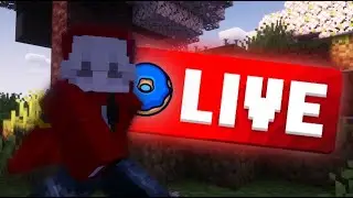 🔴 DONUT SMP  🔴  RATING BASES 750K EACH