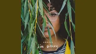I'm Sorry