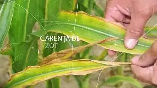 Testarea Solului-Piatră de temelie a agriculturii de precizie