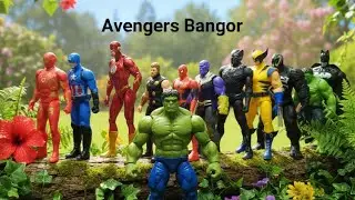The Avengers of Super Hero Story Black Panther, Hulk, The Flash, Batman, Superman, Venom, Spiderman