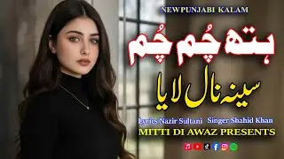 Hath Chum Chum | ہتھ چم چم سینہ نال لایا | New Punjabi Sad Song |Lyrics Sultani | Singer Shahid Khan
