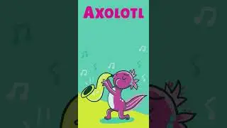 Meet Axolotl