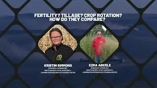 Fertility? Tillage? Crop Rotation? How do They Compare?