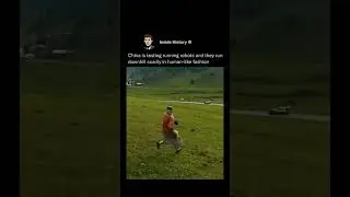 Funny AI robot unable to stop downhill#shortsfeed #shorts #funny #ai #robot #goes #viral #lol #laugh