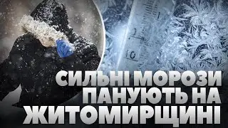 Яку погоду очікувати житомирянам після сильних морозів?