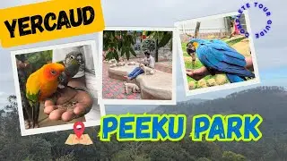 Peeku Park Yercaud | Birds Park Yercaud | Birds and Pets Farm Yercaud | Yercaud Tourist Places