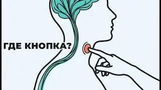 Что нейробиологи знают о стрессе, а ты — нет