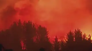 Wildfires kill 10 people in Chile