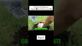 Calcium Fertilizer for Acidic Soil in Apple 🍎🍂 Acidic Soil Treatment