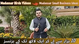 Top Small Business Ideas for Success in Pakistan